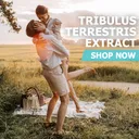 Tribulus Terrestris Extract Powder (40% Saponins) - Bags / 50 grams product thumbnail