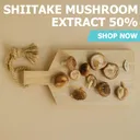 Shiitake Mushroom Extract 50% - Bags / 100 grams product thumbnail