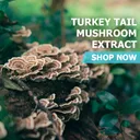 Turkey Tail Mushroom Extract - Bags / 100 grams product thumbnail