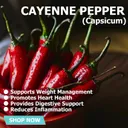 Cayenne Pepper (Capsicum) Bulk - Bulk / 25 kilograms product thumbnail