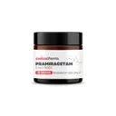 Pramiracetam – Powder, 10 grams - Pramiracetam - Powder, 10 grams - SwissChems-Buy Best Quality Peptides, SARMS Online product thumbnail