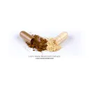 Lion's Mane Mushroom 1:1 Extract Powder - 30 Grams product thumbnail